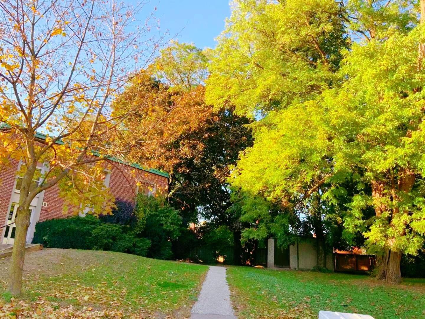 Leaside Garden Guesthouse Toronto Eksteriør bilde